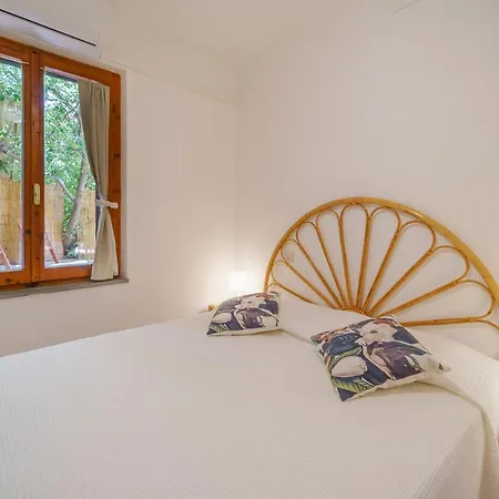 Barbatoja פטובאיה