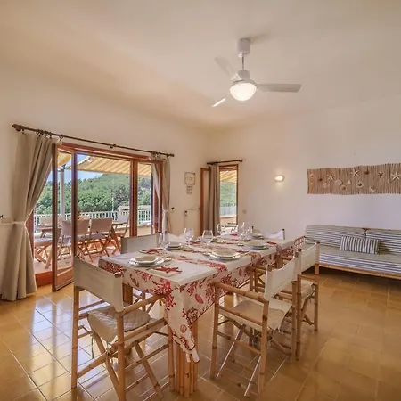 Barbatoja * פטובאיה