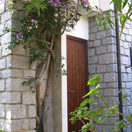 Barbatoja פטובאיה