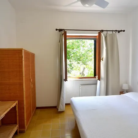 Barbatoja * פטובאיה