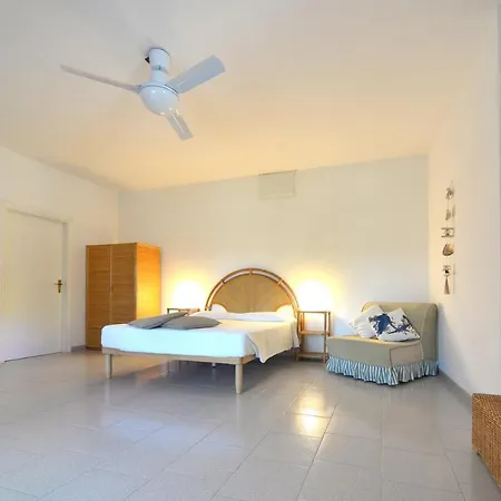 Barbatoja * פטובאיה