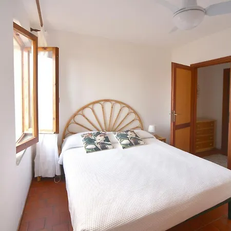 Barbatoja פטובאיה