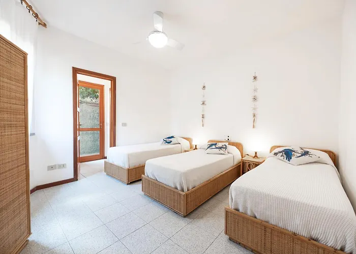 Barbatoja * Fetovaia